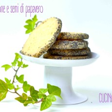 FROLLE LIMONE E PAPAVERO2