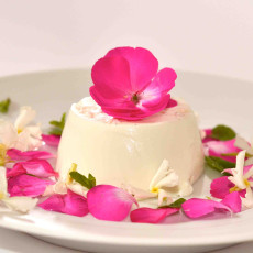 Panna cotta