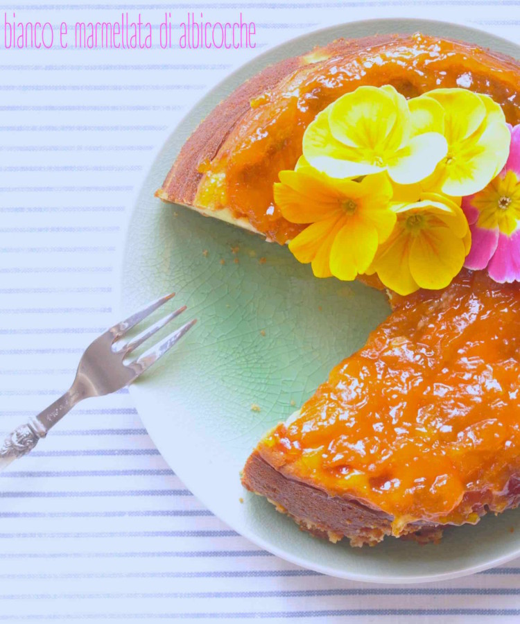 Cheesecake al cioccolato bianco e marmellata di albicocche
